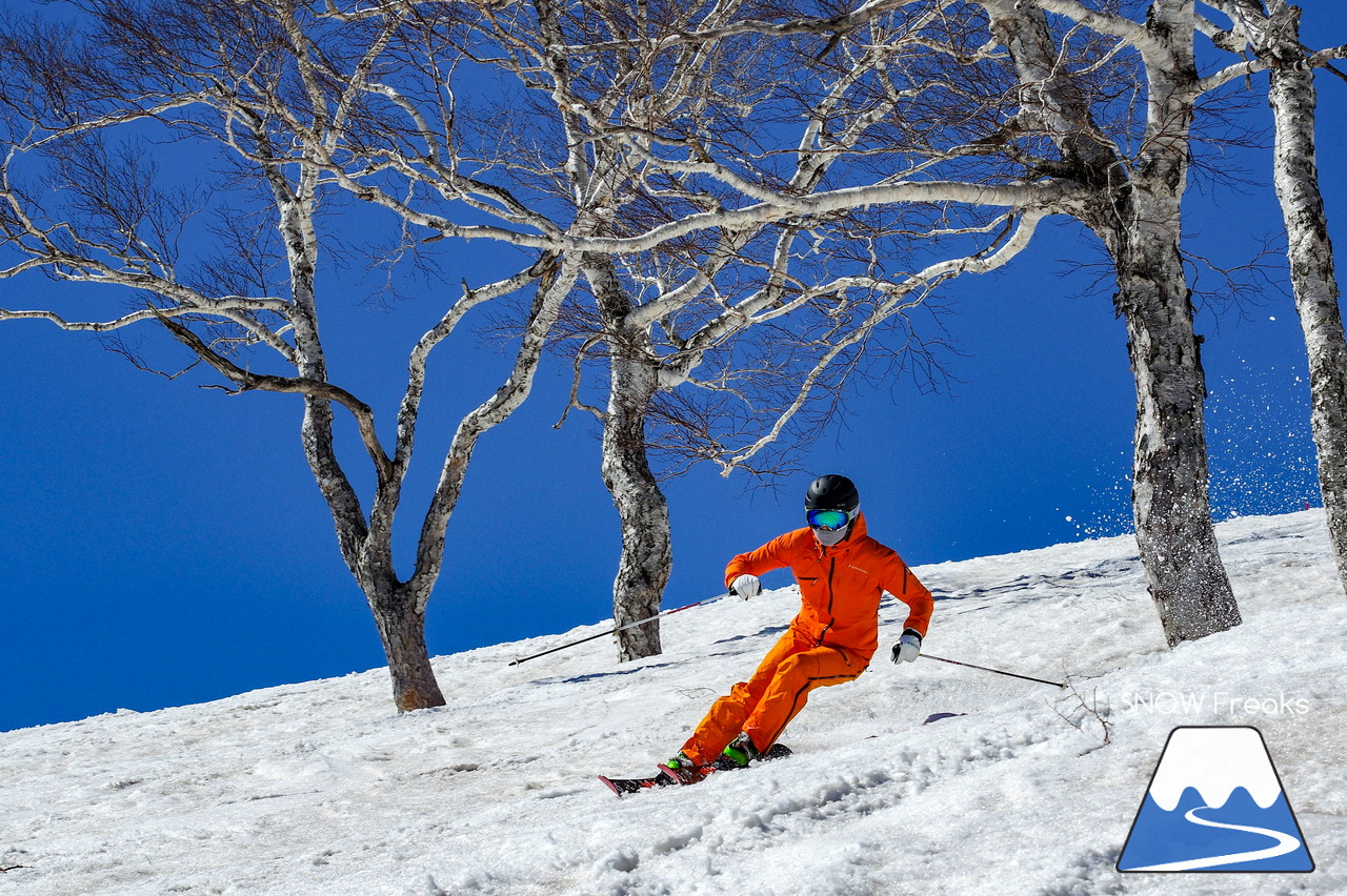 ニセコグラン・ヒラフ DYNASTAR SKI TEST RIDE DAYS Photo Session!!最高の天気に恵まれたニセコに、最高の仲間たちが集まりました☆